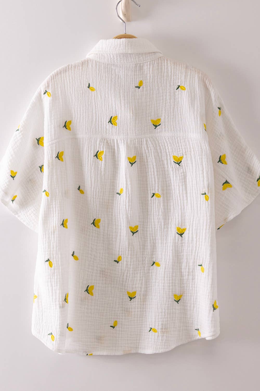 Haven's Fruit Embroidery Oversized Gauze Blouse